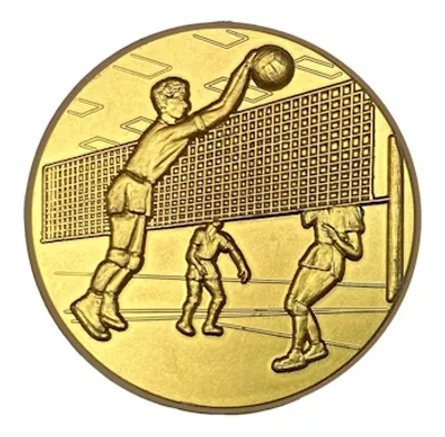 SM-volleyboll
